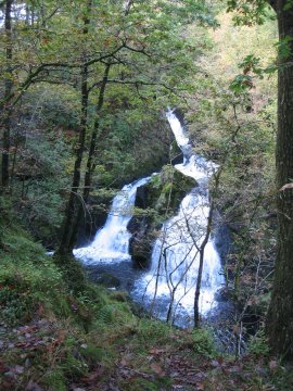 Colwith Force